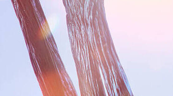 Close-up of textured, elongated strands resembling tree bark or natural fibers against a soft, blurred background.