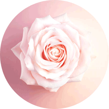 Lancome