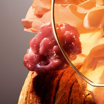 Een close-up van een schaal met een kunstzinnige compositie van een rozenbloem en een organische, glanzende textuur.