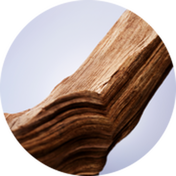 Close-up van een mooi gevormde houten tak met duidelijke textuur en patronen, tegen een lichte achtergrond.