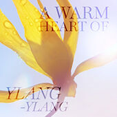 A close-up of a bright yellow ylang-ylang flower against a blue sky, with text overlay that reads "A warm heart of ylang-ylang."