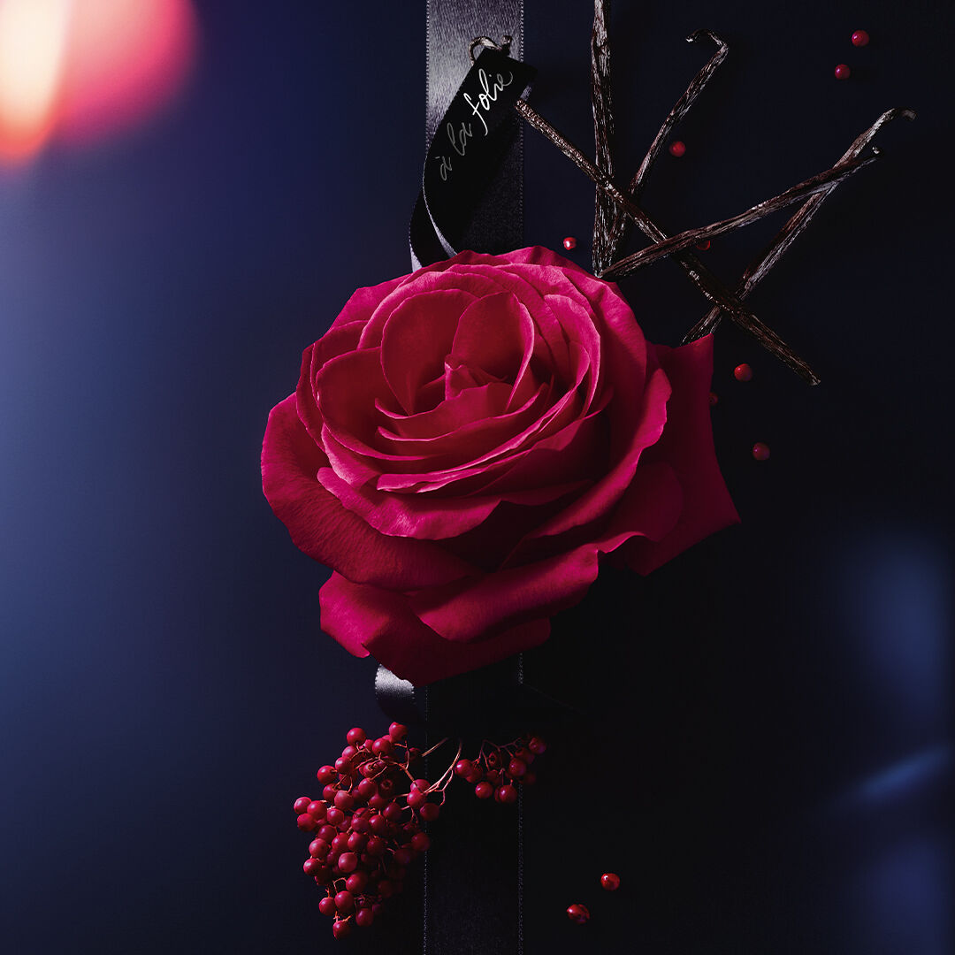 LA NUIT TRESOR A LA FOLIE