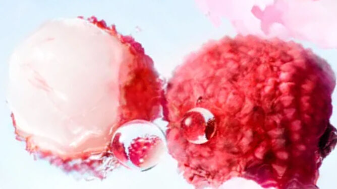 [ingredient visual - uitsnede van litchi's]
