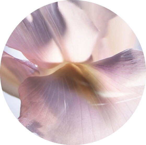 SPRANKELENDE IRIS
