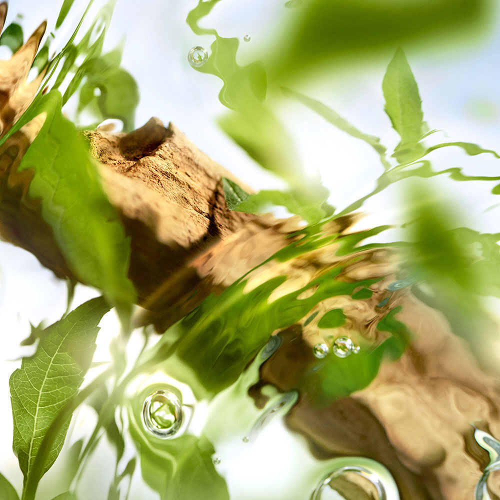 OFF NOW - LES O DE LANCOME