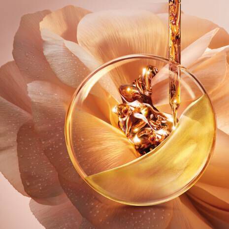 ABSOLUE SOFT CREAM COLLECTION