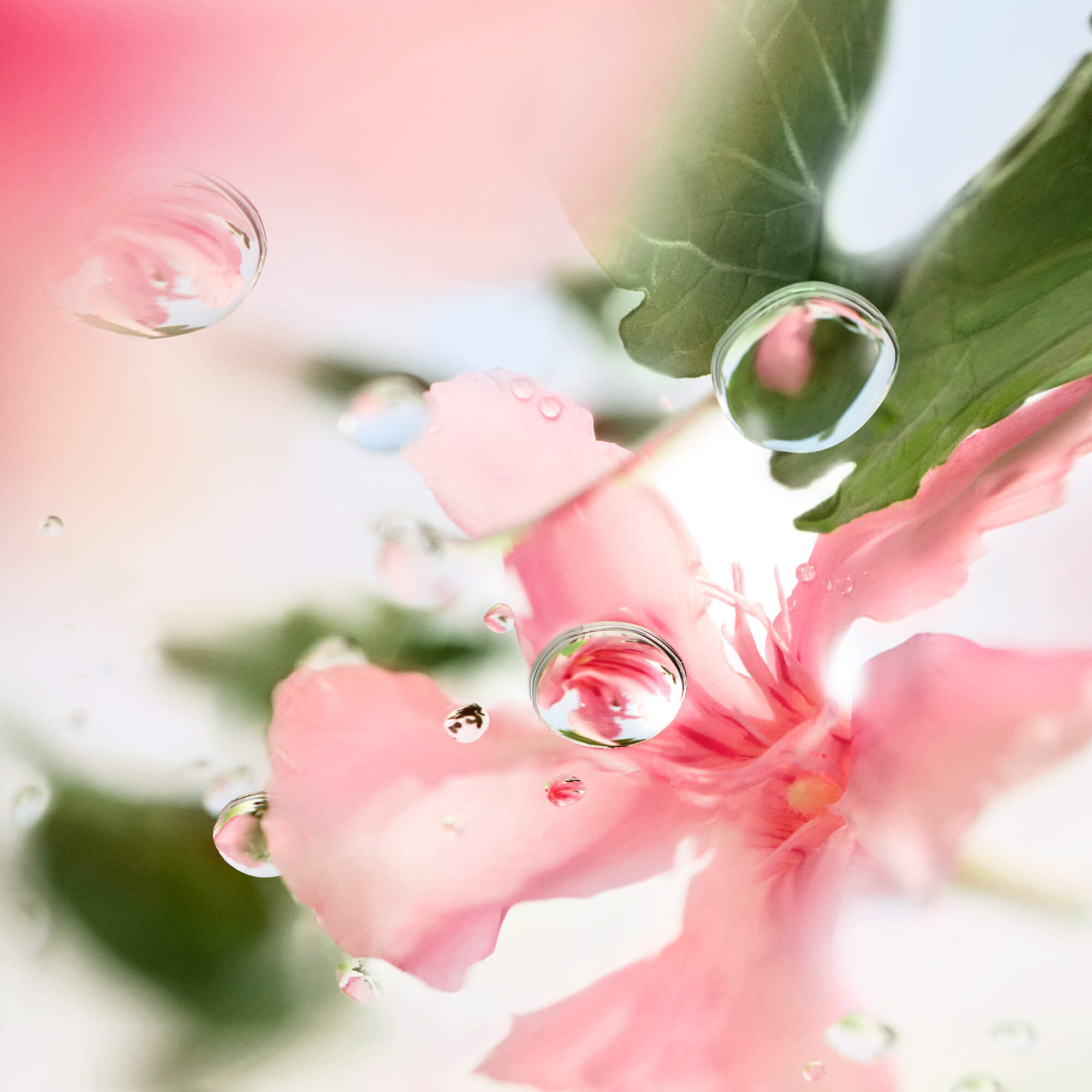 OVER THE TOP  - LES O DE LANCOME